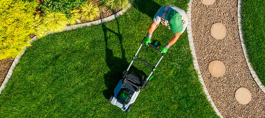 Mulch Landscaping