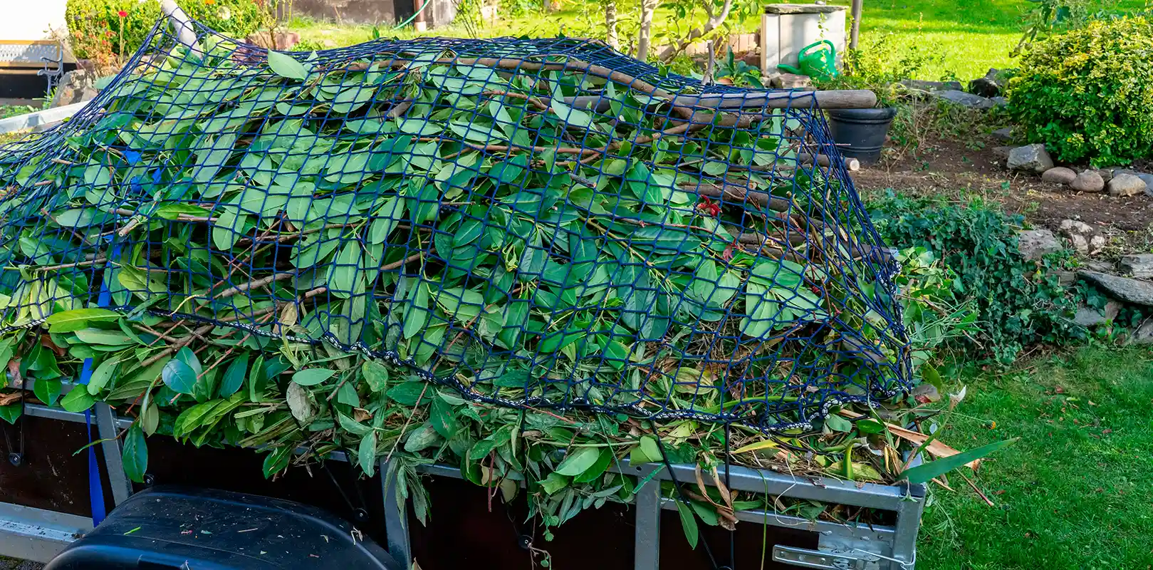 Green Waste Removal