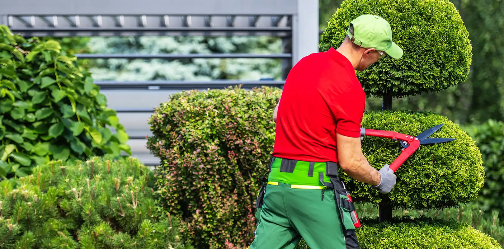 Lawn Care Services