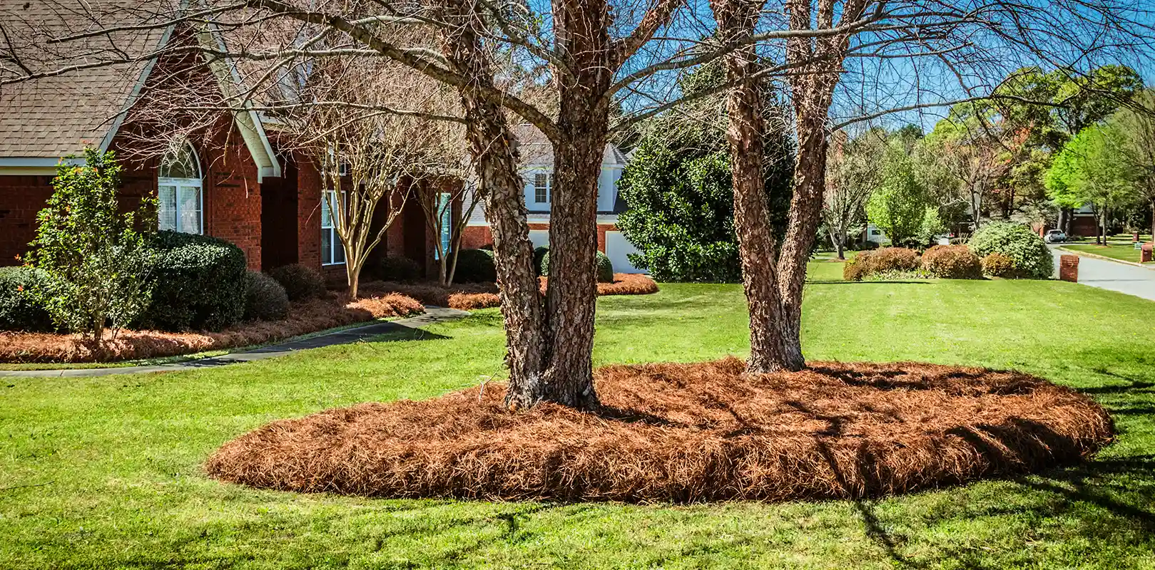 Mulch Application