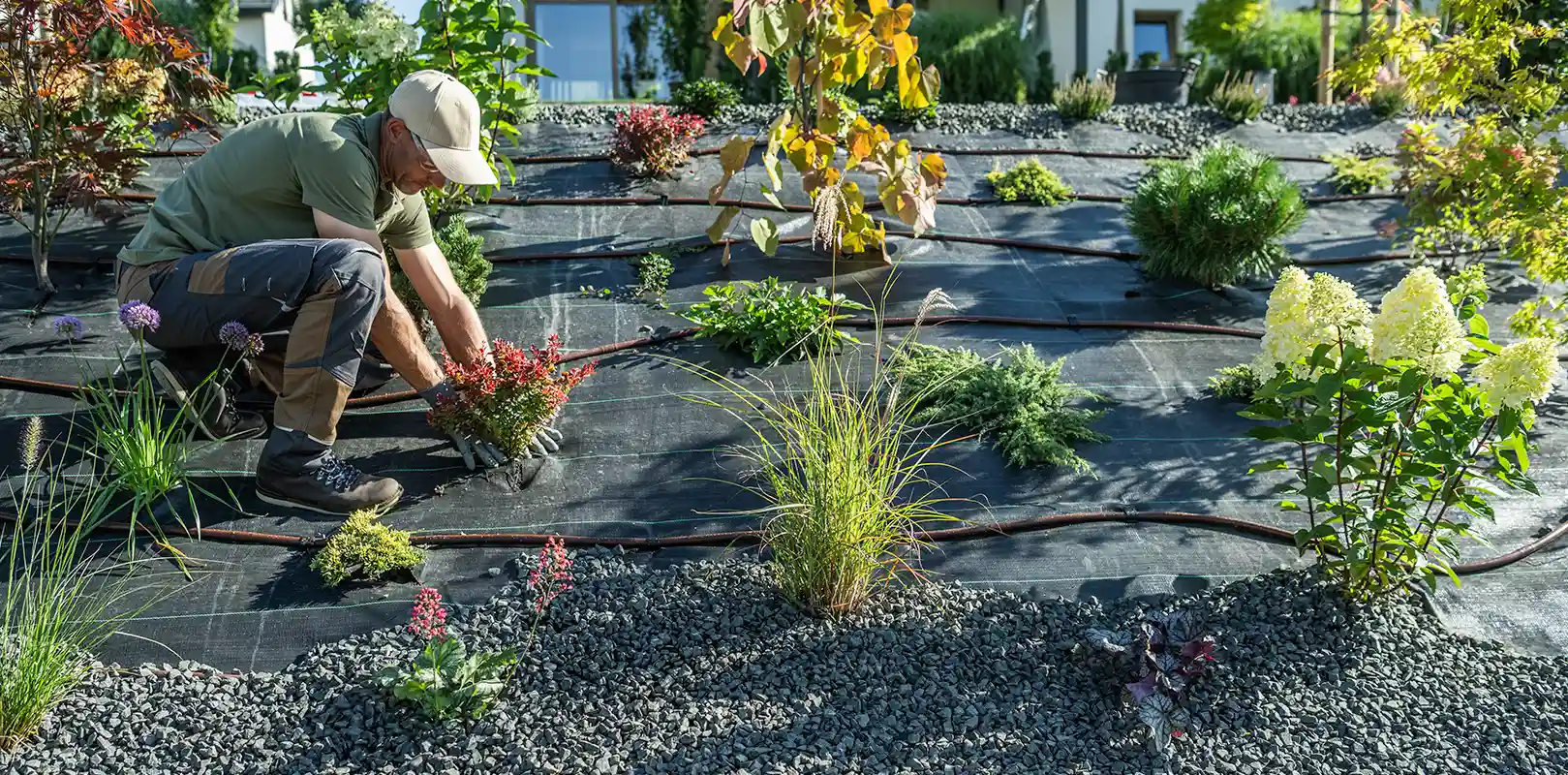 Flower Planting